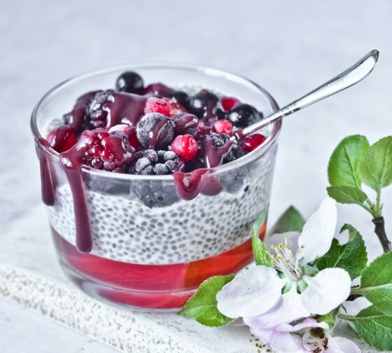 Vegan Omega 3: Chia desert