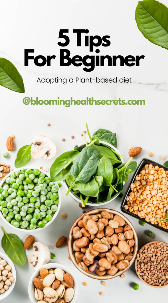 plant-based-diet-for-beginners