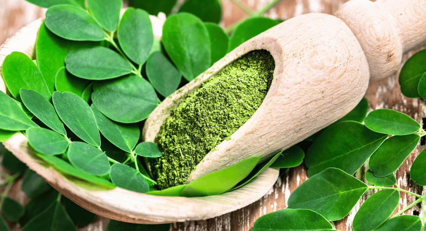 Organic Moringa powder