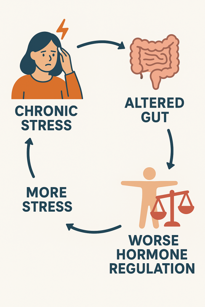 chronic stress → altered gut → worse hormone regulation → more stress — a loop many women experience.